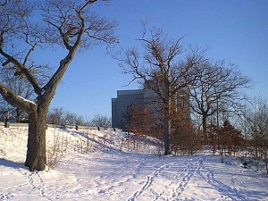 r236.jpg