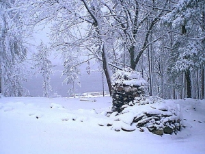 r258.jpg